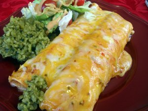 creamy chicken enchiladas