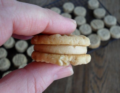 Peanut Butter Sandwich Cookie