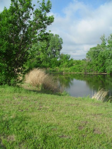 a pond in Sedgwick County park