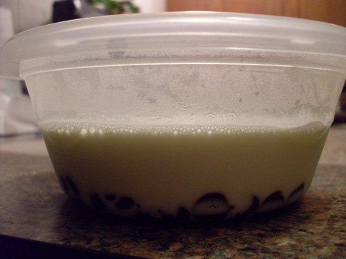 hot cream and chocolate