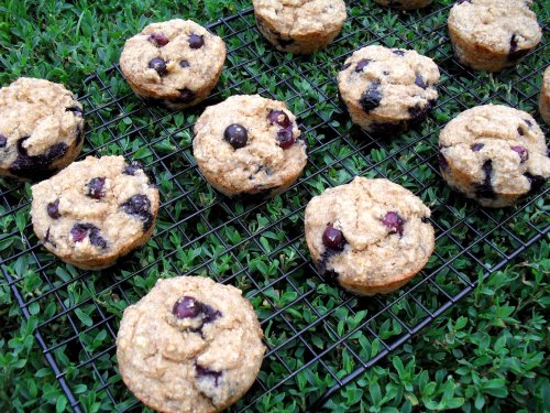 healthy blueberry muffins 6-14-11
