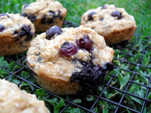 healthy blueberry muffins 6-14-11