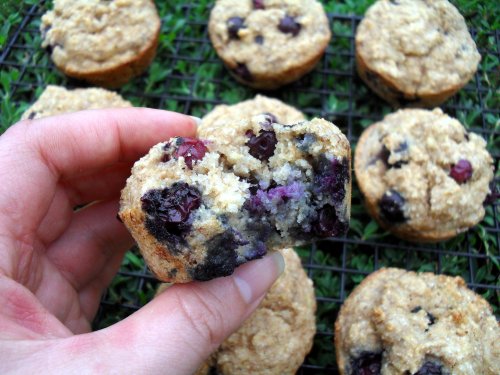 healthy blueberry muffins 6-14-11