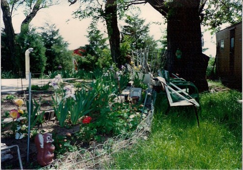 Grandma's yard