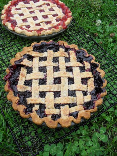 I brought triple berry and cherry pies