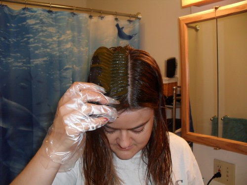 applying henna with a comb