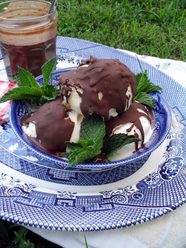 magic shell 6-21-11 (3)