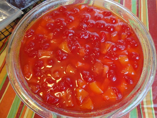 friendship fruit cake day 20