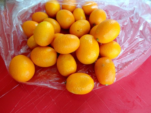 kumquats