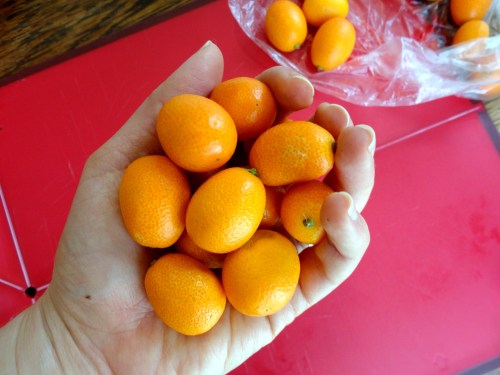 kumquats