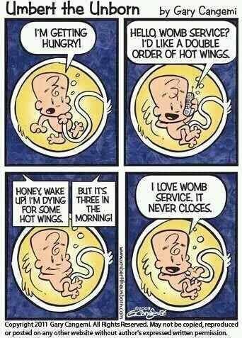 womb service