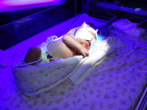 1467239_10152002908871480_983656034_n